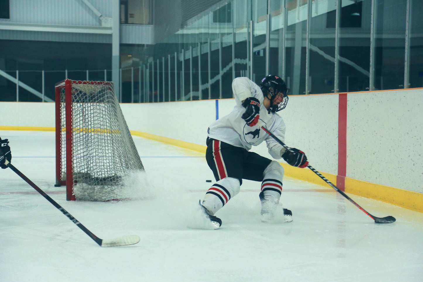 Perfect Skating  - Our Foundational Program for all on-ice movement. Sylvan Lake Program #1 July 7th to July 18th.